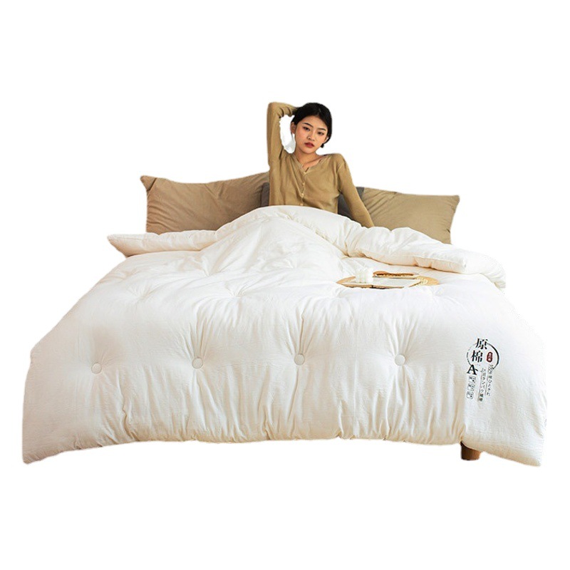Raw Cotton Soybean Quilt Solid Color Winter Thick Cotton Quilt Warm Fiber Quilt Core Wholesale Spring and Autumn Four Seasons Student Bedding