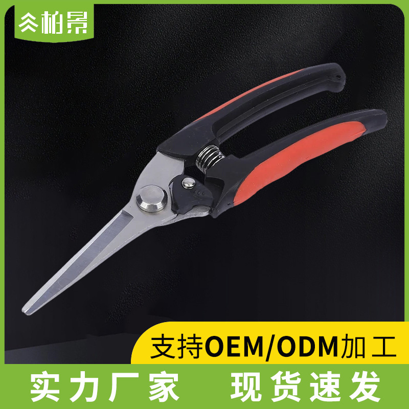 Stainless Steel Rare Fruit Shears Multifunctional Branch Pruning Shears Floral Shears Flower Bonsai Garden Pruning Shears Fruit Picking Shears