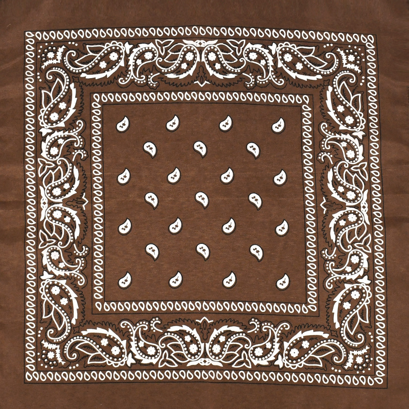 Picture of Factory direct supply in stock polyester square paisley scarf wholesale hip hop hip hop riding cashew flower scarf