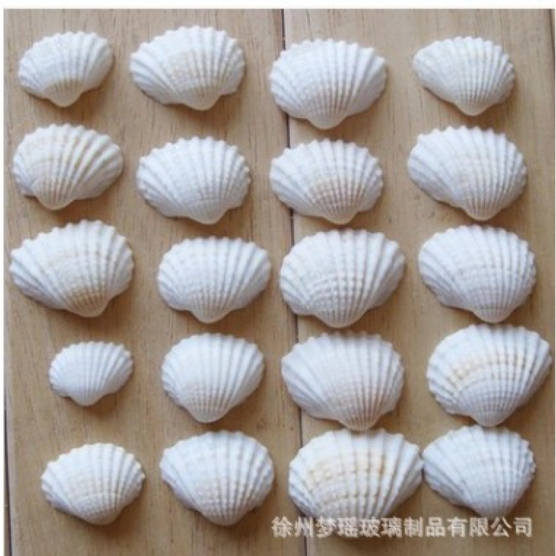 Picture of Wholesale DIY Wish Bottle Star Bottle Nebula Bottle Rainbow Bottle Drift Bottle Ocean Bottle Star Bottle Lucky Star Bottle Glass