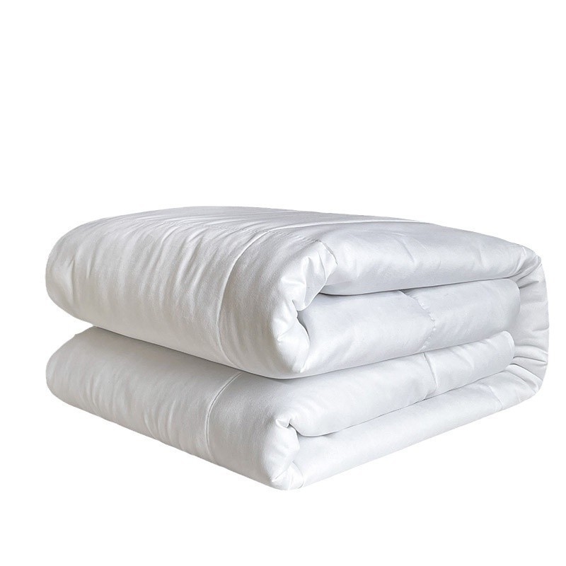 Picture of Hotel Homestay Hotel Quilt Core Quilt Sanding Thickened Warm Double Spring Autumn Winter Summer Quilt Feather Silk Cotton Four Seasons