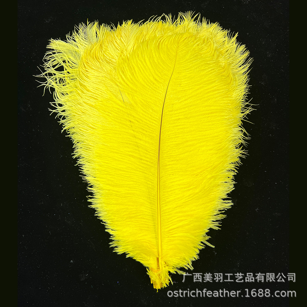 Picture of 35-40cm Ostrich Feather Wholesale Manufacturer Spot Wedding Decoration Feather DIY Crafts Stage Clothing Ostrich Feather