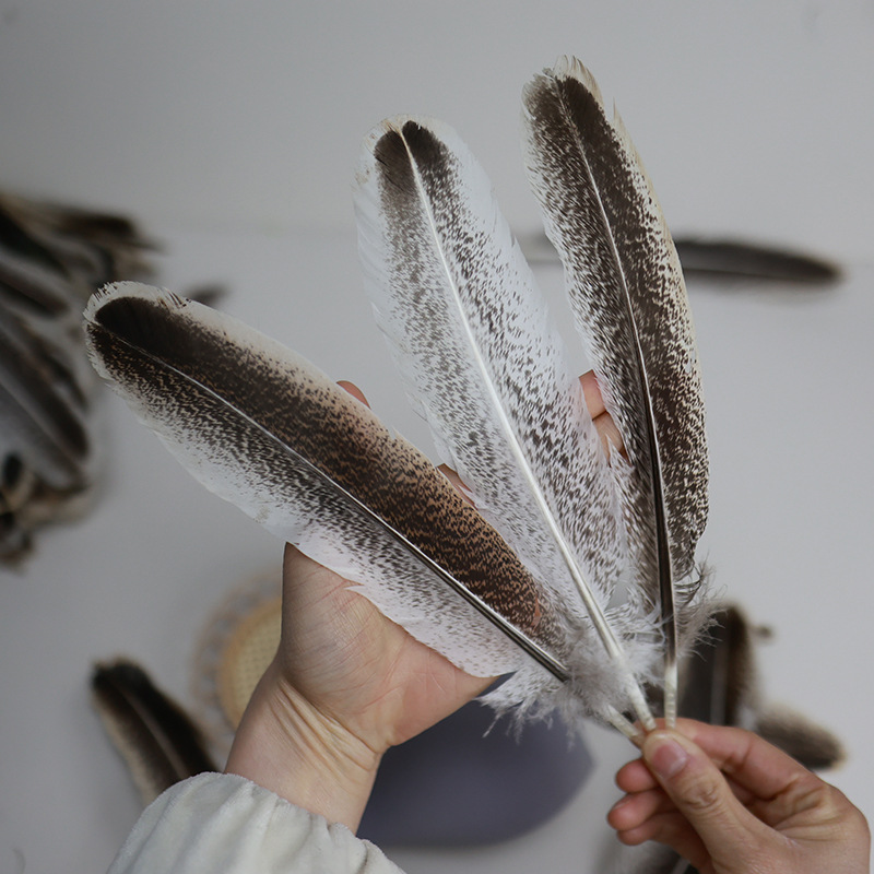 Picture of Wholesale turkey feather pockmarked nest feather pheasant feather diy handmade jewelry clothing accessories crafts decorative accessories
