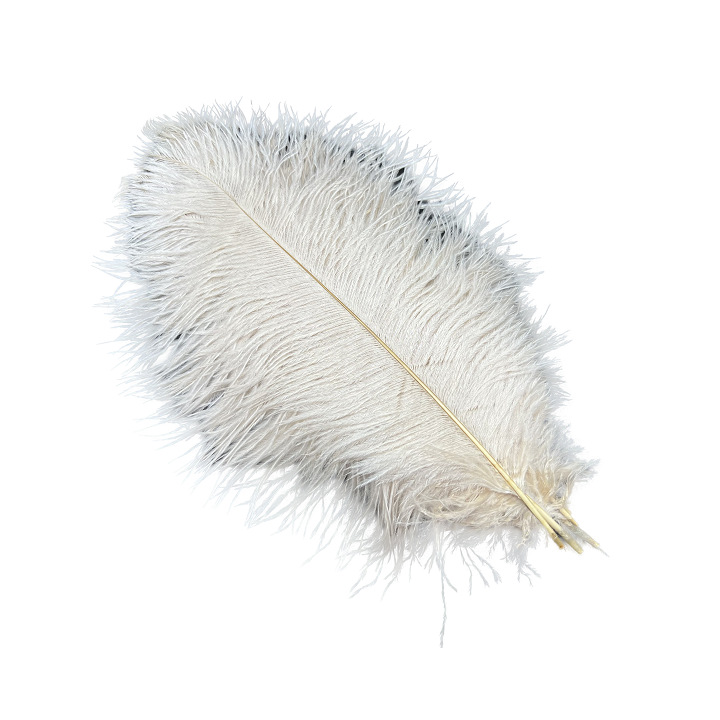 Picture of White ostrich feather 25-30cm natural ostrich feather dyed feather wedding decoration lamp ornament feather