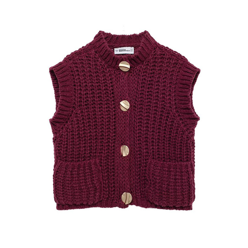 Picture of 2024 Autumn New European and American Cross-border Women's Street Style Fashion brown Vest Thick Needle Knitted Vest Vest