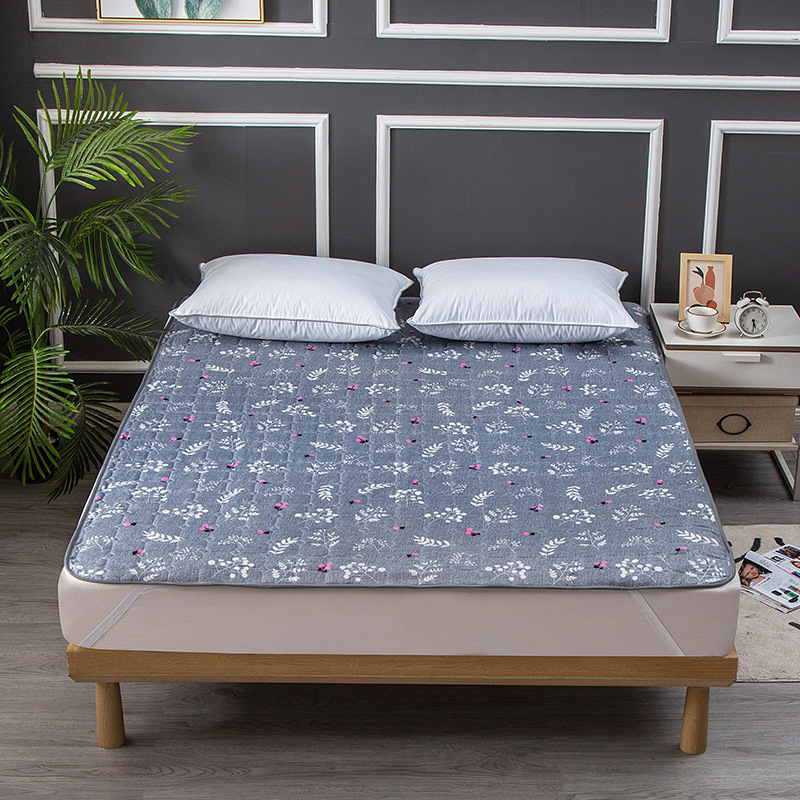 Picture of B&B Hotel Mattress Bed Protector Special Thin Washable Foldableing Single and Double Rental House Mattress Factory