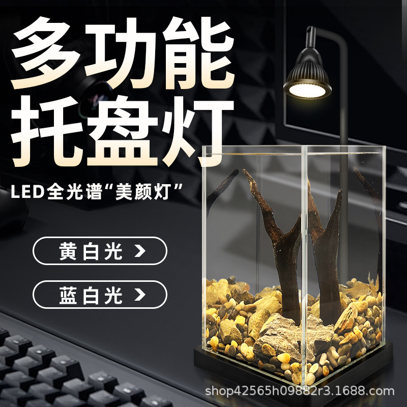 Factory fish tank LED micro landscape plant fill light desktop aquarium spotlight aquatic plants fleshy moss growth light