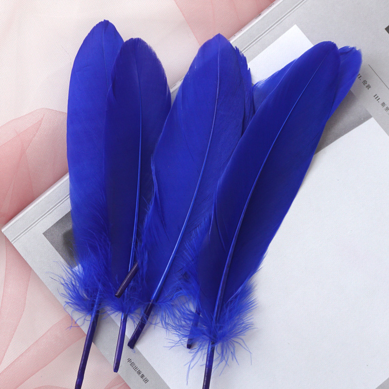 Picture of Feather color goose feather hard big floating dream catcher sunflower kindergarten handmade art class material wings decoration