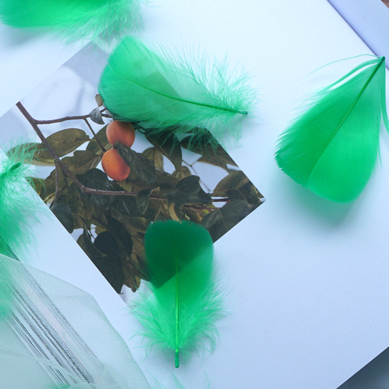 Picture of Manufacturer Wholesale Macaron Colorfulful Small Feather 5-8cm Goose Feather Small Floating Wave Ball Balloon Filling Decorative Material