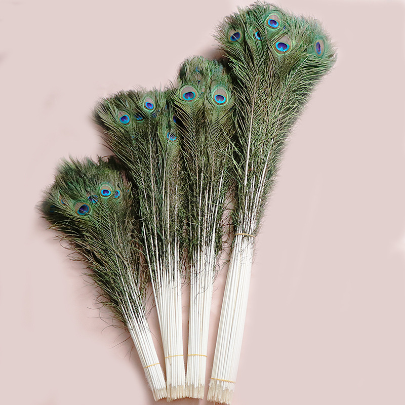 Peacock feather 80-90cm Peacock feather wholesale accessories flower arrangement natural feather decoration