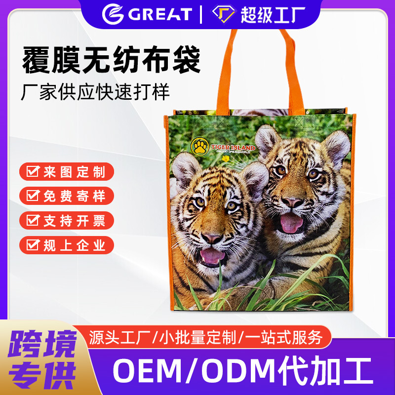 Laminated Non-Woven Bag Printed Logo Blank Bag Supermarket Gift Environmentally Friendly Shopping Bag Export Clothing Bag Handbag