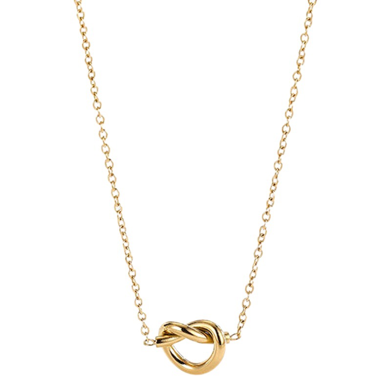 Simple Japanese and Korean Style Rope Knot Love Titanium Steel Necklace Women's Niche Design Light Luxury Collarbone Chain All-Match Internet Celebrity Ins Jewelry