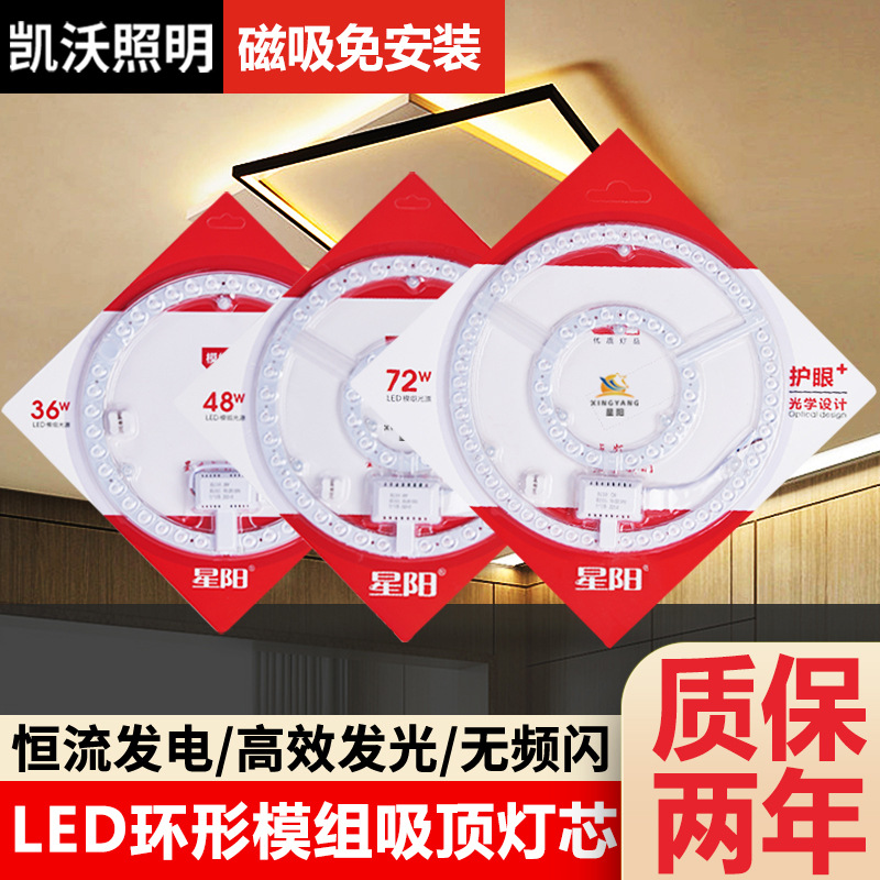 Picture of Led Wick Ceiling Lamp Led Replacement Core Magnetic Light Source Module Modification Replacement Module Light Source Ed Lamp Panel