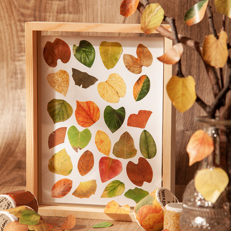 Picture of A Beautiful Day Tape Champs Elysees Leaves Series Creative Plant Hand Account DIY Decorative Stickers 8