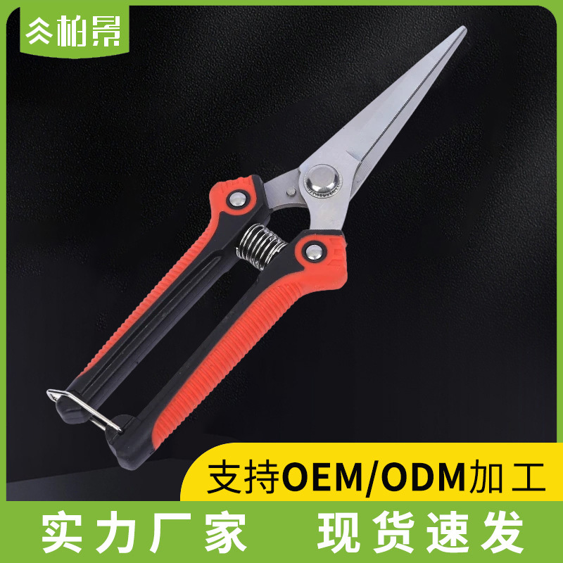 Stainless Steel Thin Fruit Shears Fruit Tree Pruning Shears Pointed Fruit Picking Shears Fruit and Vegetable Shears Garden Floriculture Bonsai Shears Supply