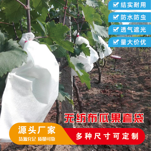 Open-air Non-woven Grape Bag Pomelo Pear Orange Fruit Protection Bag Insect-proof Bird-proof Rain-proof