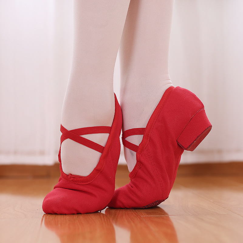 Picture of Dance Shoelaces with Soft Sole Canvas Teacher Shoes Belly Dance Shoes Body Etiquette Training Shoes Adult Ballet Shoes Cross Border
