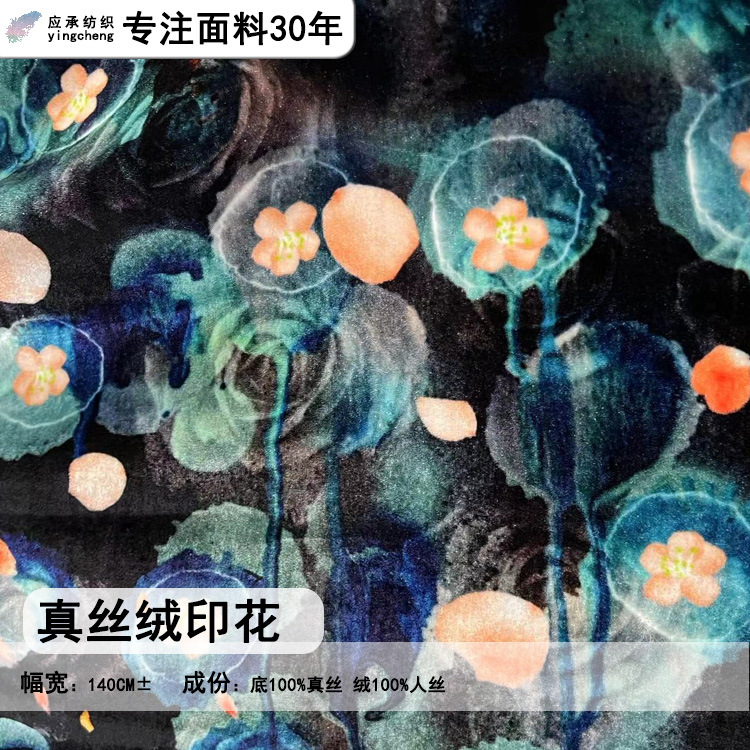 Velvet digital print real velvet abstract print new Chinese style set top dress set dress cloth