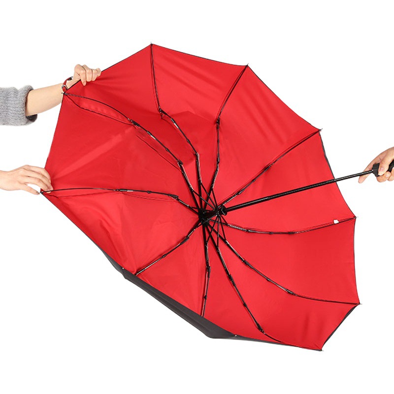Cross-border hot double-layer automatic 10-bone umbrella windproof sun protection rain dual-use business men and women folding umbrella