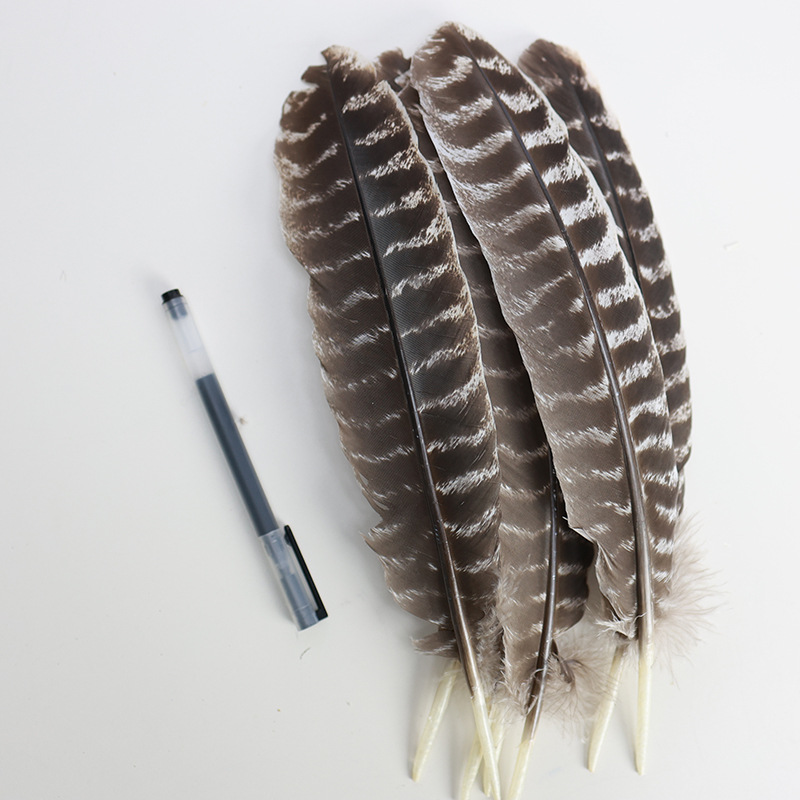 Picture of Wholesale natural striped flower chicken nest feather feather feather DIY craft jewelry decoration handmade accessories material turkey feather