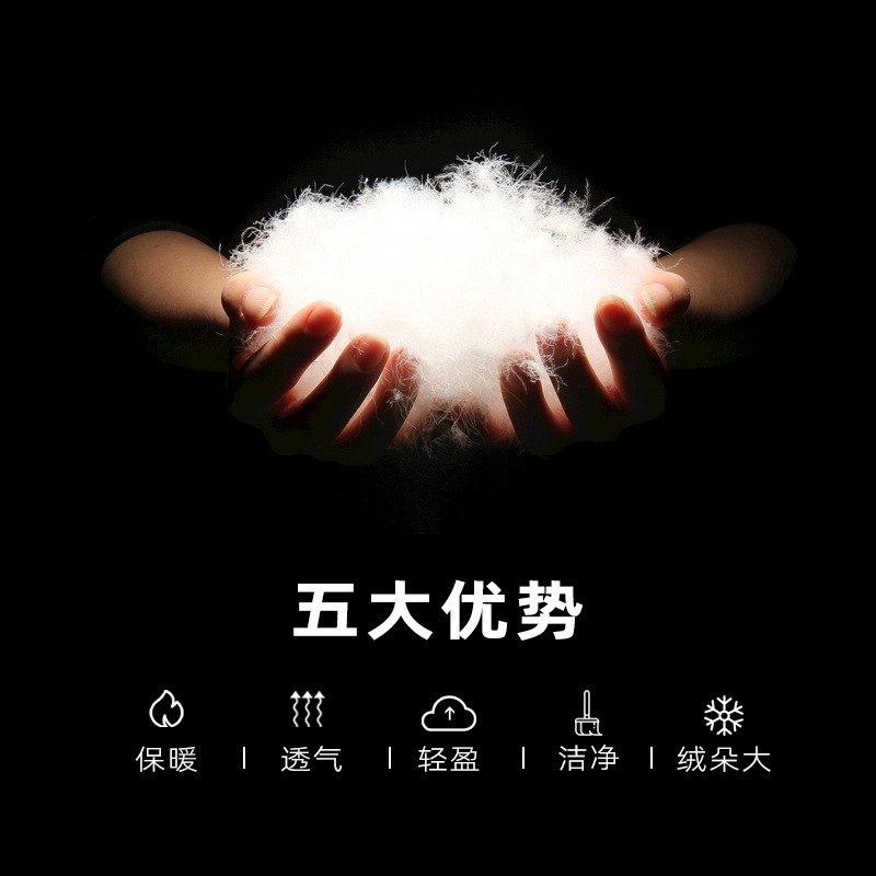 Picture of Xintang Down Factory Directly Supples 50 Pubai Group Standard for Testing High Fluffy Duck Down 420 Fluffy 46 High Fluffy Down