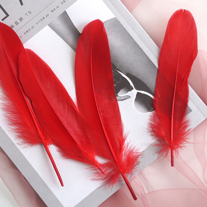 Picture of Feather color goose feather hard big floating dream catcher sunflower kindergarten handmade art class material wings decoration