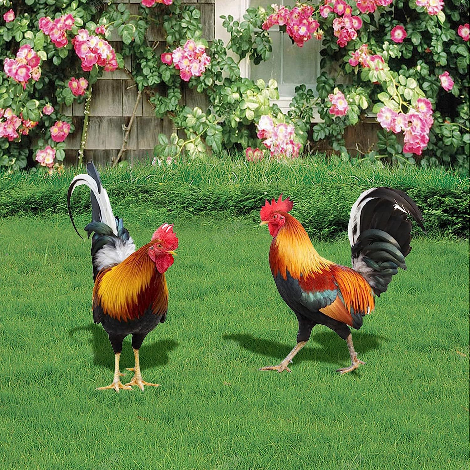 Picture of Three-Dimensional Courtyard Rooster Acrylic Mirror Yardart Garden Outdoor Decoration Ornaments Creative Courtyard Ornaments