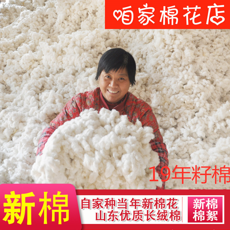 Picture of Large Supply of Shandong Hand-Picked Cotton Seeds and Cotton Seeds in the Early Stages of Cotton Bow Room Cotton Quilt Cotton Filling Cotton