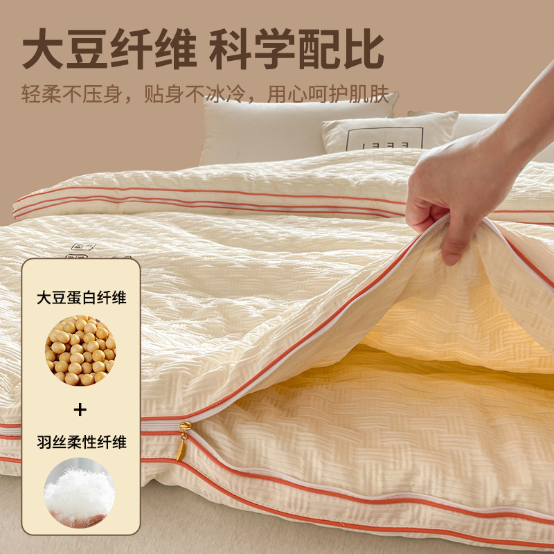Picture of Soybean Quilt Four Seasons Quilt Soybean Fiber Quilt Core Four Seasons Universal Soybean Quilt Warm Spring and Autumn Thin Quilt Single Double Winter Quilt