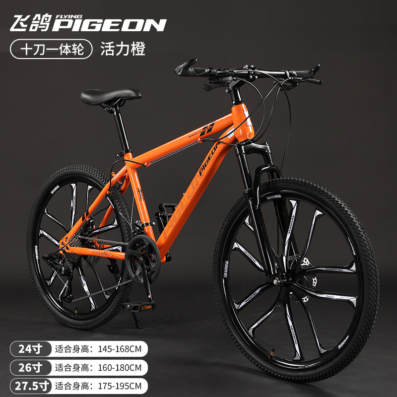 Picture of Flying Pigeon Brand Mountain Bike Men's Variable Speed Off-Road Bike Teenagers Middle School Students Ladies Road Racing Adult
