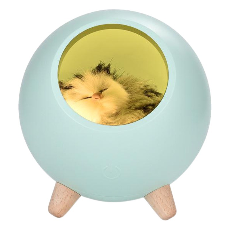 Creative cute cute cat pet house night light cute kitten bedside sleeping light USB rechargeable LED atmosphere light