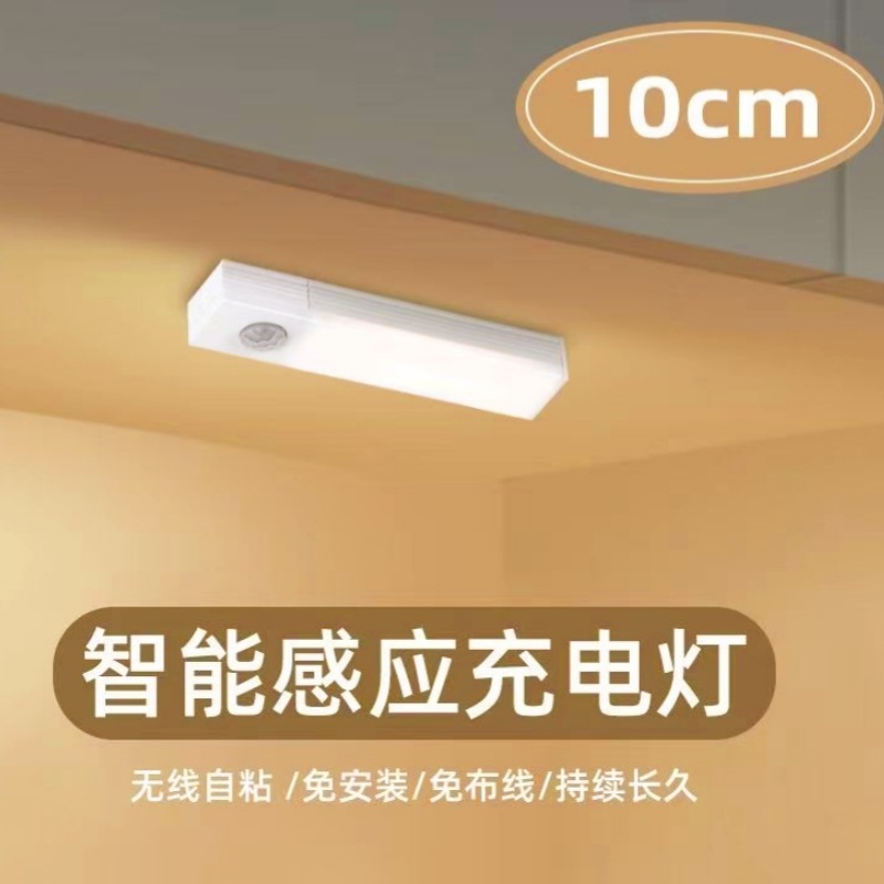 Picture of Led Human Body Sensor Lamp Wireless Magnetic Wine Cabinet Wardrobe Charging Strip Smart Cabinet Night Light Factory Cross-Border