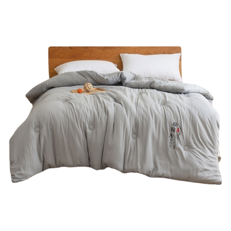 Silk quilt class a raw cotton soybean quilt four seasons thickened autumn and winter quilt double quilt core quilt wholesale