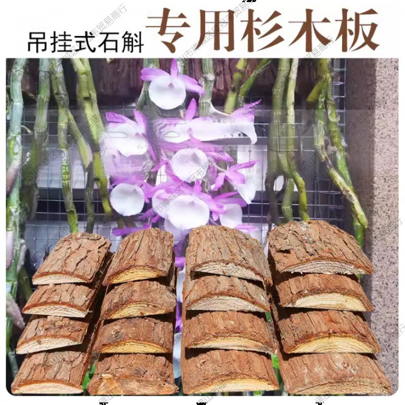 Dendrobium Hanging Planting Board, Fir Board, Fir Tree Bark Substitute for Snake Wood Board, Epiphytic Orchid Planting Board, Planting Material, Nutrient Soil