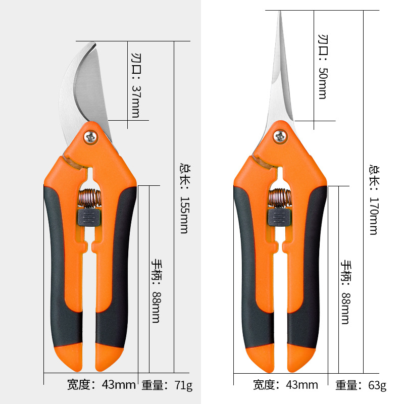Picture of Gardening Scissors, Pruning Shears, Fruit and Vegetable Scissors, Branch Scissors, Fruit Tree Scissors, Grape Picking Scissors, Garden Tools, Fruit Picking Ready Stock
