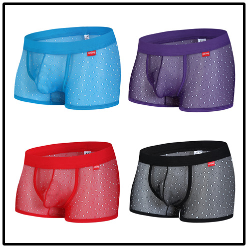 Spot Cross-Border New Men's Sexy Underwear U-Convex Large Pouch Breathable Mesh Comfortable Close-Fitting Boxer Briefs 2006