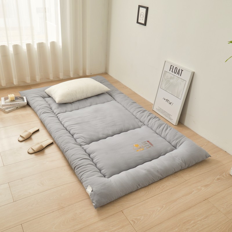 Picture of Thickened student dormitory mattress mat removable and washable tatami floor warm cushion school single factory wholesale