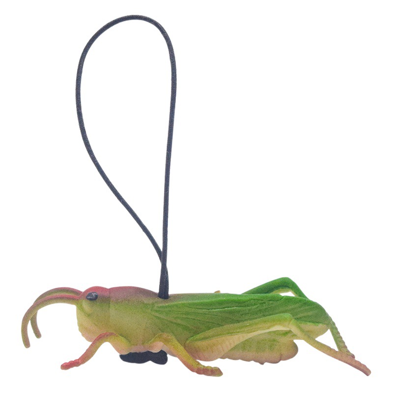 Simulation Science and Education Animal Grasshopper Insect Toy Children's Educational Exploration Soft Rubber Toy Animal Small Ornaments Pendant