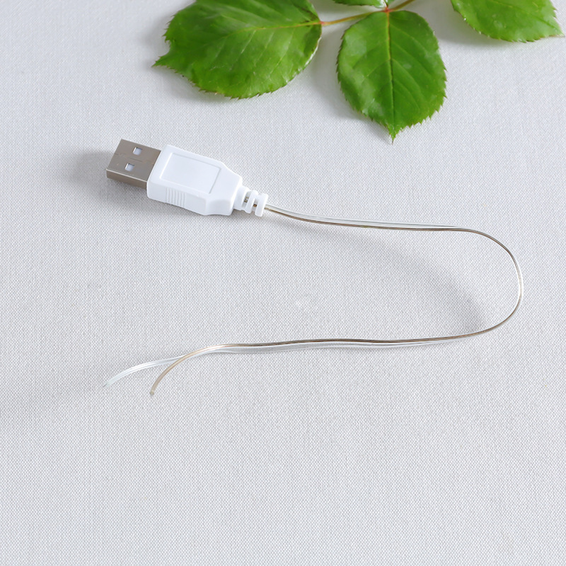 Picture of USB lamp string accessories always bright usb single connection charging line copper wire lamp string small colored lights use semi-finished products