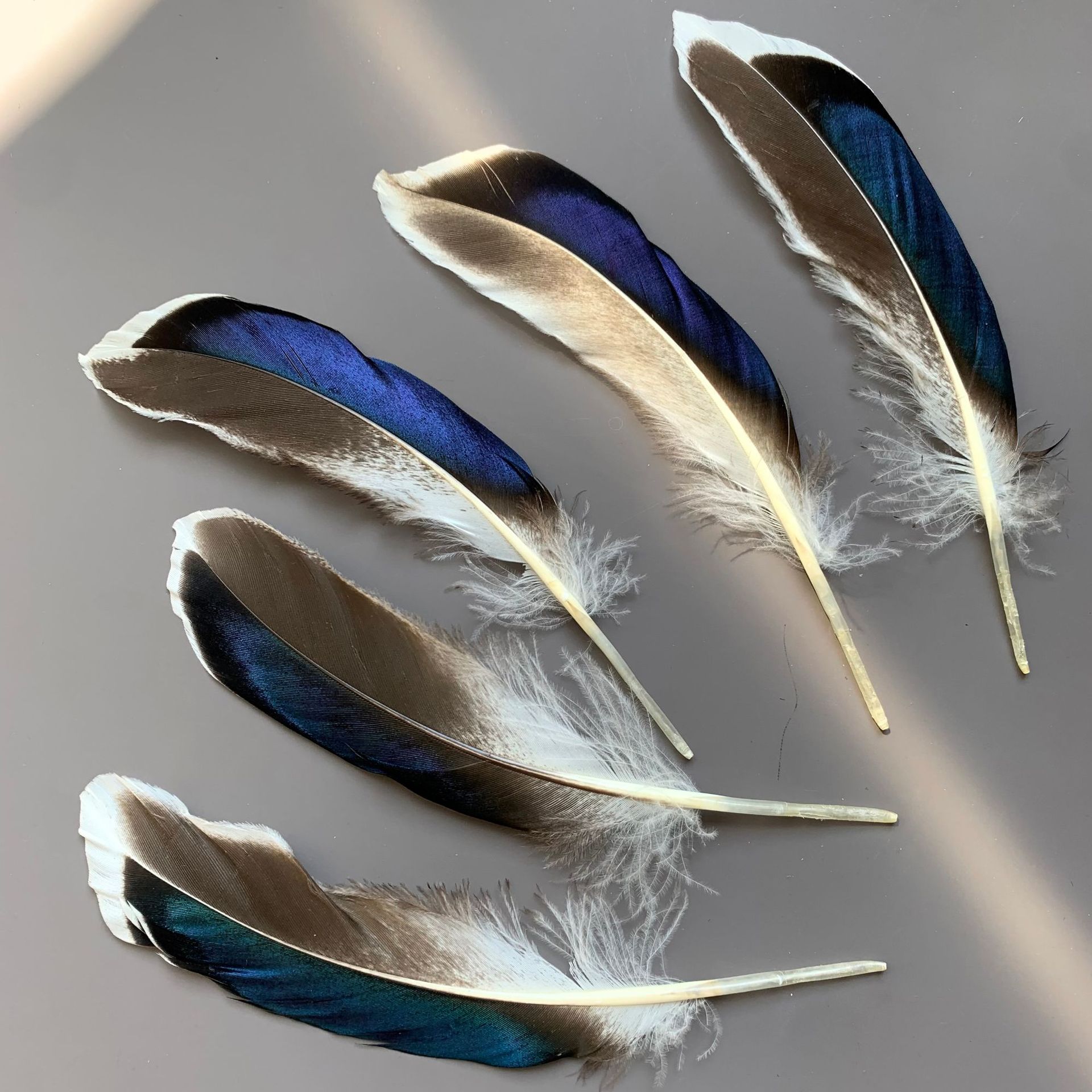in stock wholesale diy feather natural duck feather green feather jewelry white head color wild duck feather duck feather green feather