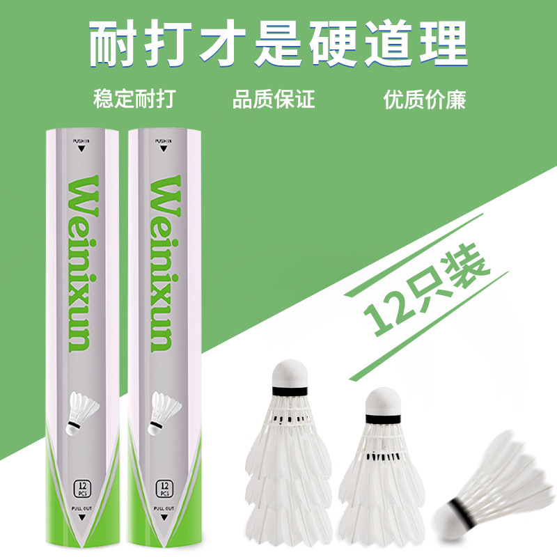 Picture of Winison Training Hard Ball Head Badminton 12 Pack Entertainment with a Large Quantity and Excellent Price in stock