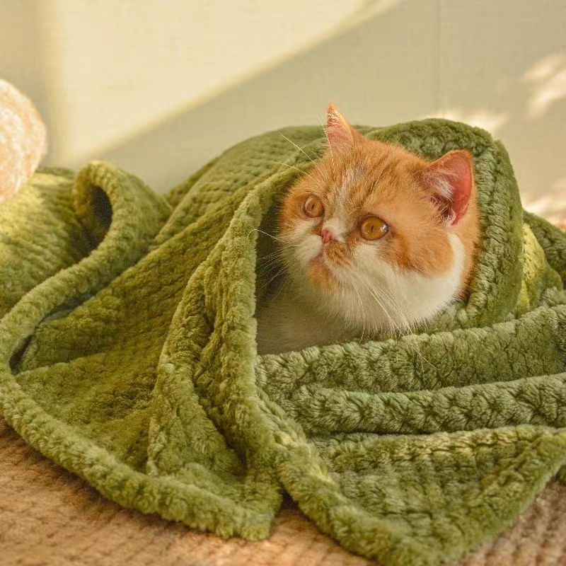 Pet Blanket Pad Dog Coral Fleece Blanket Quilt Cat Thickened Small Blanket Sleeping Mat Cover Blanket Pet Blanket