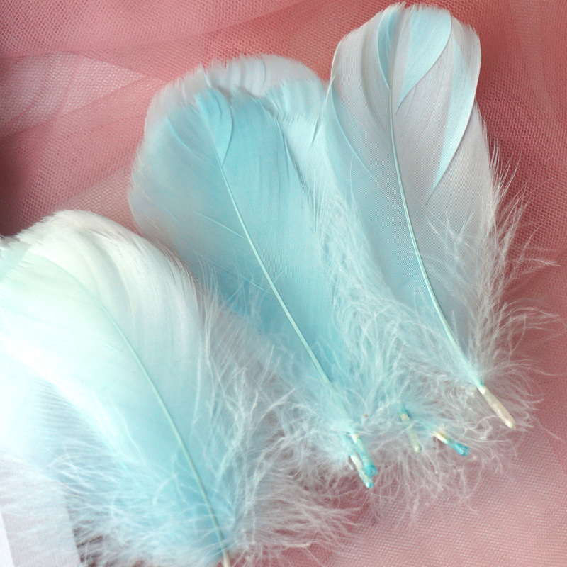 Picture of Color feather DIY floating dyeing goose feather dream catcher wave ball gift box filling decorative materials wholesale