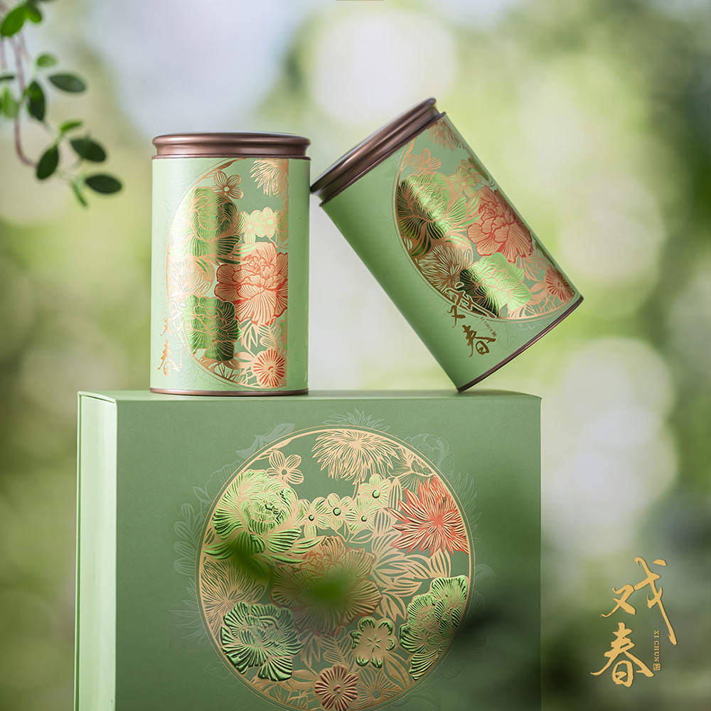 Tea Packaging Play Spring 2025 New Tea Empty Gift Box Green Tea Universal Half Jin Longjing Biluochun Fresh Atmosphere