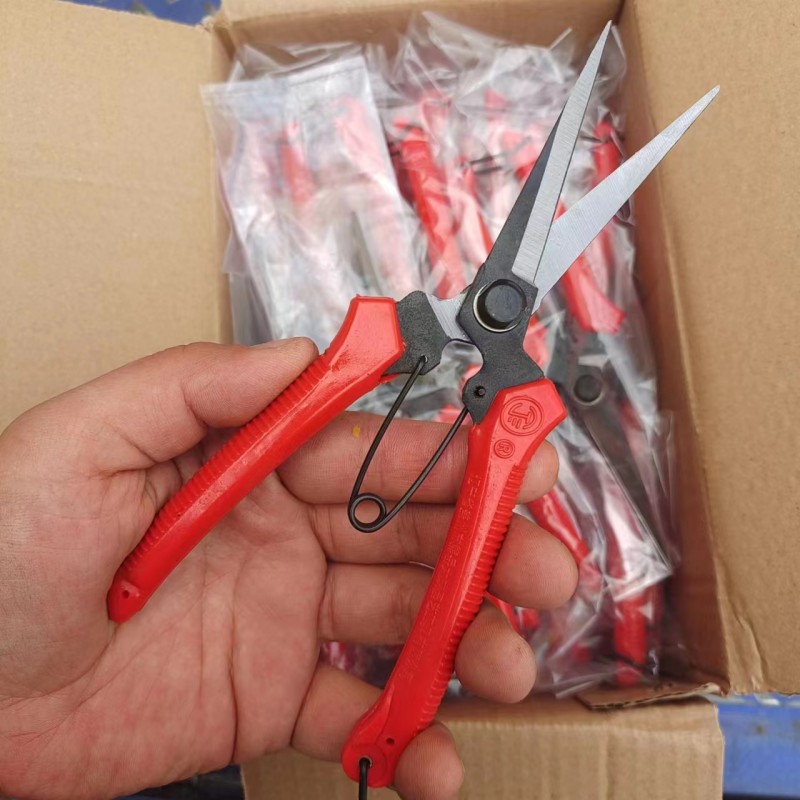 Ningsan Rare Fruit Shears Straight Head Thinning Flower Shears Thinning Fruit Shears Picking Sears Grape Shears Fruit Shears Wolfberry Shears