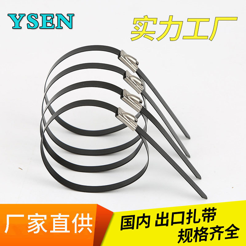 Factory supply 304 plastic-sprayed stainless steel cable tie 4.6*300 steel ball self-locking black metal cable wire tie Marine