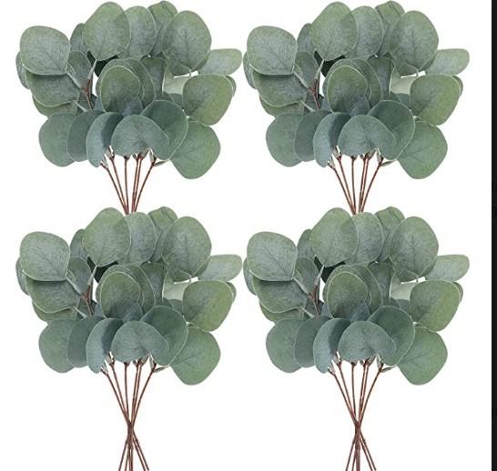 Picture of Eucalyptus leaves eucalyptus leaves simulation single simulation green plant christinae multicolor Frost White Frost eucalyptus