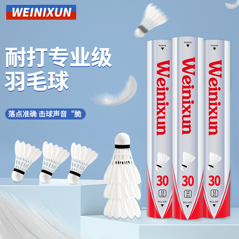 Wilson Badminton Genuine Primary Practice Entertainment Training Ball Adult Student Amateur Wholesale Badminton