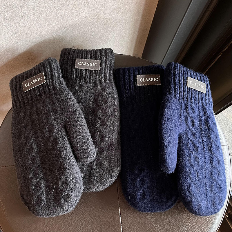 Gloves men's winter warm cold-proof thickened fleece-lined fashion trendy student Men's wool bag finger finger autumn and winter tide