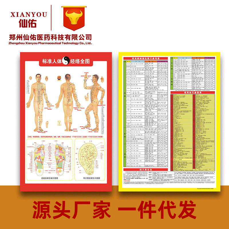 Traditional Chinese Medicine Hall Acupuncture Moxibustion Acupoint Chart Wall Chart Illustration Full Body Home Massage Hd Human Meridian Acupoint Chart